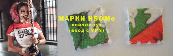 шишки Каменка