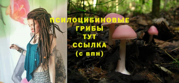 скорость Кинешма