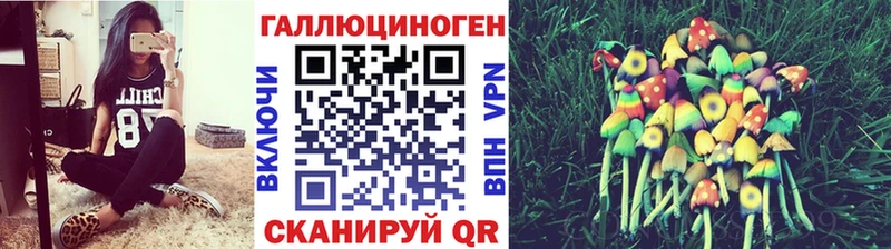 Псилоцибиновые грибы Psilocybe  Купить где  Асино 